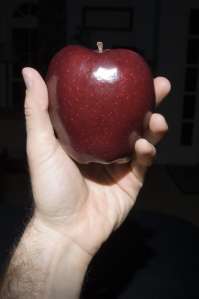 AppleInHand