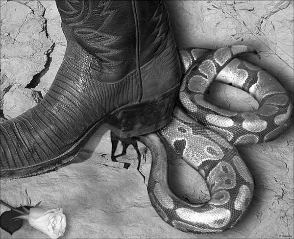 crush the head of the serpent