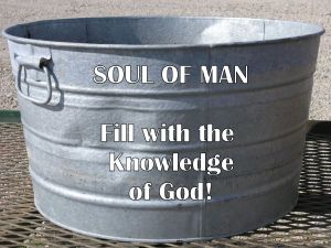 Soul_Empty_containe2r