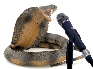 Snake-speak-300x224
